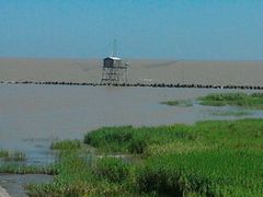 -南汇嘴观海公园