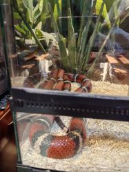 -酷嗒动物文化乐园(cutezoo西溪乐天城店)