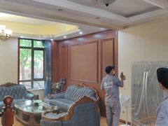 -科立恩进口除甲醛甲醛检测