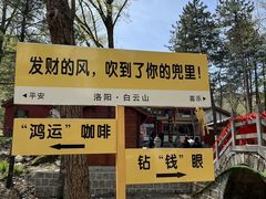 -洛阳白云山景区