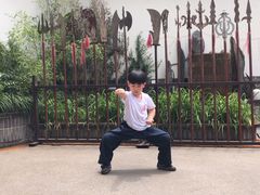 -少林功夫文化中心·独门独院