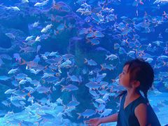 -成都浩海立方海洋公园