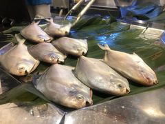 -远洲凤凰山庄臻味全日餐厅