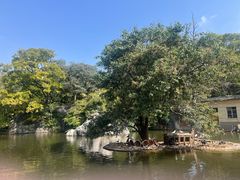 -昆明动物园