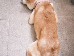 -三目仓咖啡(贤南路店)