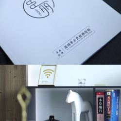 -臣丽纹眉品牌连锁