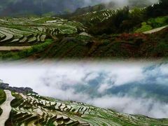 -龙脊梯田