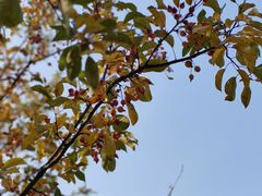 -三里河公园
