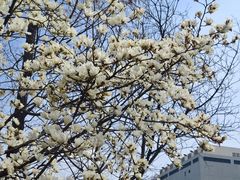 -外高桥保税区南(地铁站)