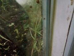 -上海昆虫博物馆