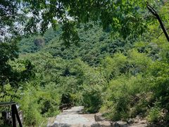 -北京西山国家森林公园