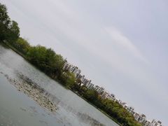 -新江湾城公园