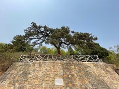 -北京西山国家森林公园