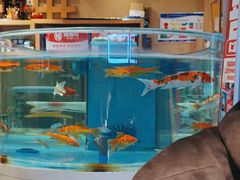 -辣得叫湘菜(四明店)
