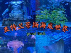 -正佳极地海洋世界