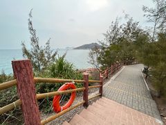 -广东惠东海龟国家级自然保护区
