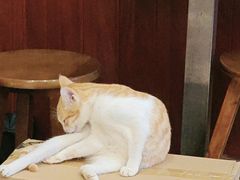 -曼谷食堂·泰国家庭料理(丹桂路店)