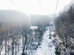 -亚布力新体委滑雪场