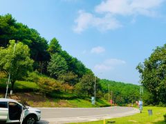 -铁山坪森林公园