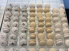 -BLACKSWAN黑天鹅(环球店)