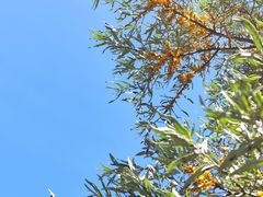 -墨石公园景区