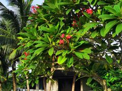 -石梅湾艾美度假酒店