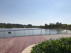 -东郊湿地公园