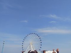 -秦皇岛乐岛海洋王国