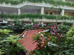 -广州白天鹅宾馆