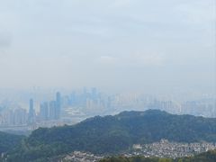 -大金鹰园