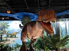 -陕西自然博物馆