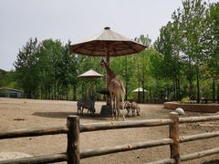 -大连森林动物园