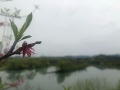 -婺源月亮湾