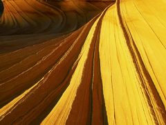 -莲塘马得利·蛋糕(斗柏路·唐庄店)