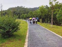 -东莞植物园