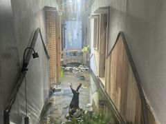 -邈墨茶馆(凤起路店)