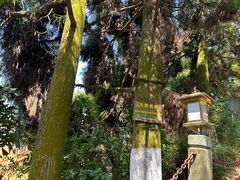 -福建泉州仙公山风景名胜区