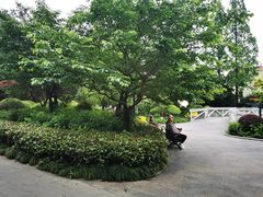 -兰溪青年公园