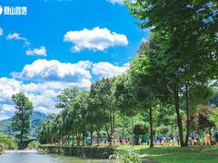 -夏山营地教育