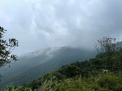 -梧桐山风景名胜区