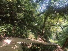 -青城山