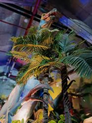 -恐龙探索乐园(磁器口店)