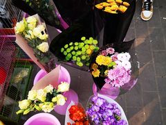 -宝鸡东道花鸟鱼虫市场(吉利花园商场店)