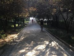 -西安市长乐公园