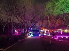 -枫花园汽车电影院(朝阳公园店)