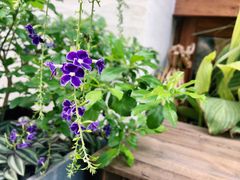 -时间集(东润·泰和苑店)