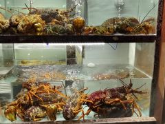 -甄御•海鲜新青岛菜(麦岛店)