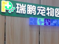 -瑞鹏宠物医院·夜间急症·心超·猫科(祖庙分店)