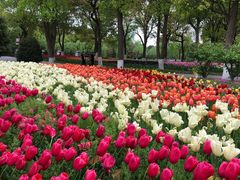 -上海鲜花港