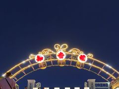 -武汉知音号